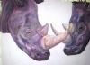 "Purple Rhino"