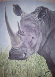 "White Rhino Cow"