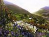 "Landscape, Cape Mountains"