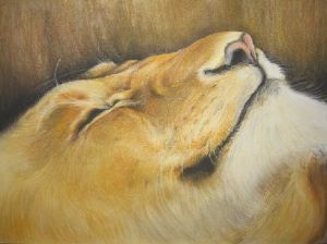 "Lion's Beard"
