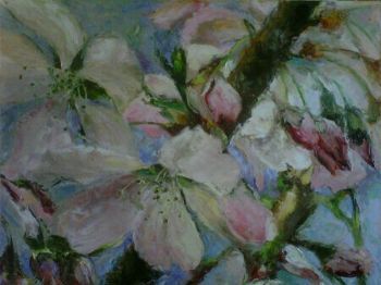 "Blossom"