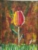 "Single Tulip 1"
