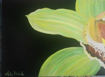 "Orchid"