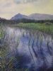 "Across the Vlei"