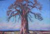"King Baobab"