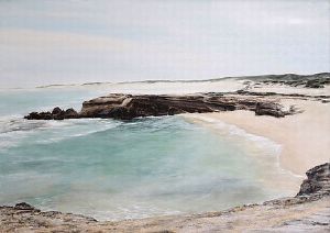 "Shelley Beach Revisited"