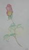 New Life
