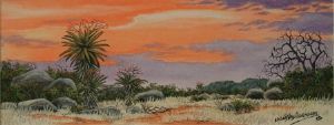 "Aloe Sunset 3"