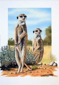 "Two Meercats"