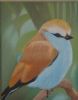 "Blue bird"
