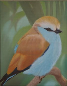 "Blue bird"