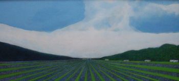 "Lavender Field"