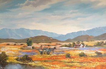 "Near Namaqualand"