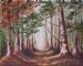 Woodland Path