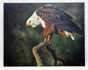 "African Fish Eagle"