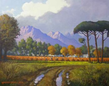 "Cape Winelands Early Morning"