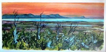 "False Bay Sunset from Cecilia Forest"