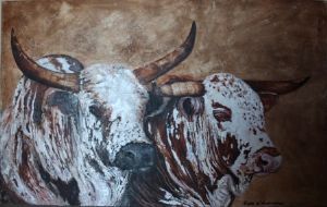 "Nguni pair"