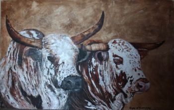 "Nguni pair"