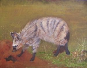 "Aardwolf"