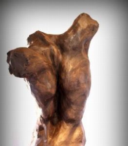 "Male Torso"