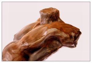 "Male Torso (Side)"