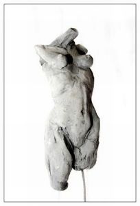 "Female Torso"