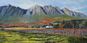 "Cape Farm"
