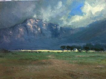 "Early Morning Light"