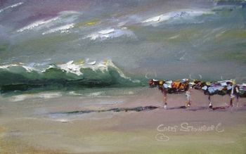 "Coffee Bay"