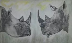 "Black & White"