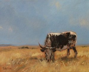 "Nguni 1"