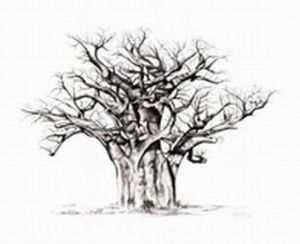 "Baobab - 'Good 'Ol Boy'"