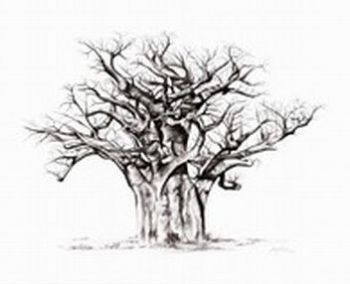 "Baobab - 'Good 'Ol Boy'"