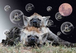 "Blue Hyenas"