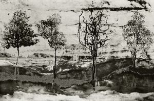 "Reflection"