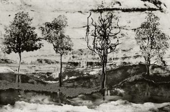 "Reflection"