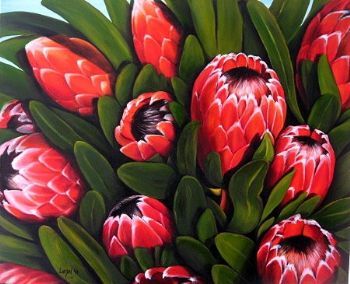 "Proteas 2"