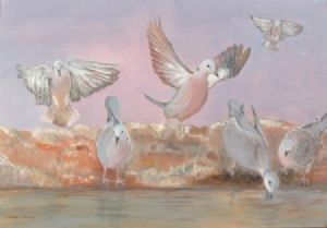 "Doves Visiting a Waterhole"