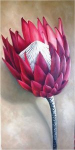 "Protea - King of the Mountain"