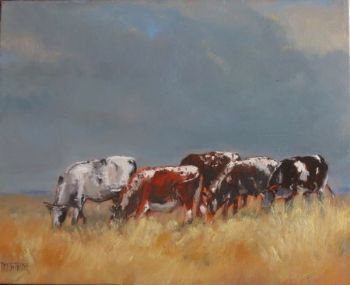 "Nguni 3"