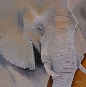 "Elephant"