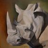 "Rhino"