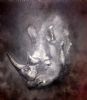 "Rhino"