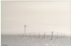 "Landscape Series 6"