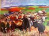 "Nguni's"