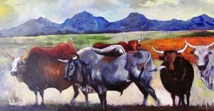 "Nguni Cows"