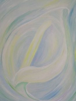 "Arum Lily"