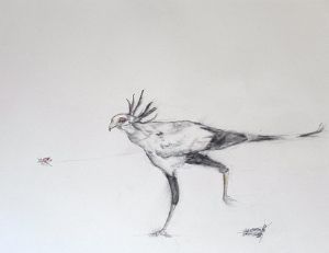 "Fly-by"