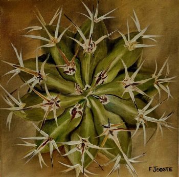 "Succulant 2"